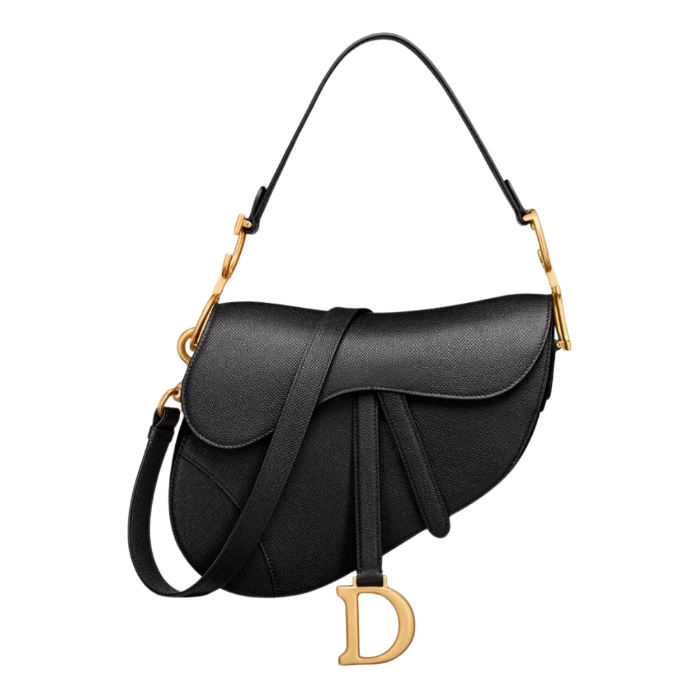 Dior  Saddle Bag
