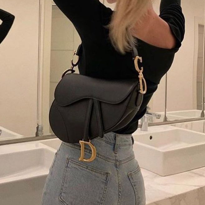 Dior  Saddle Bag