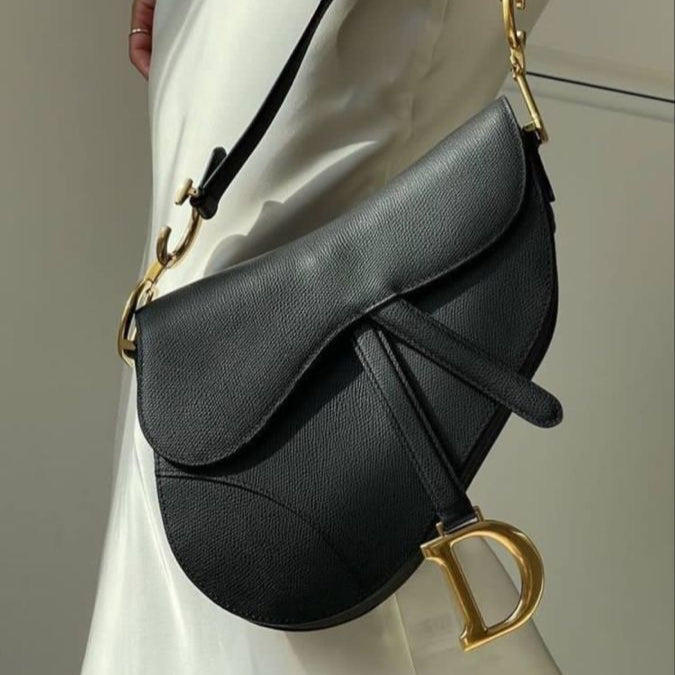 Dior  Saddle Bag