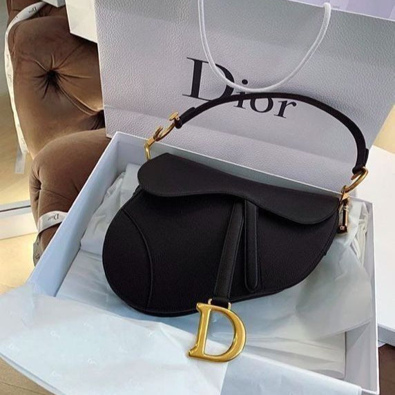 Dior  Saddle Bag